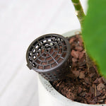 10PCS Bonsai Tools Gardening Products Gardening Tools Bonsai Fertilizer Boxes with Cover, Large Size: 6 x 4cm, Large Size: 6 x 4cm
