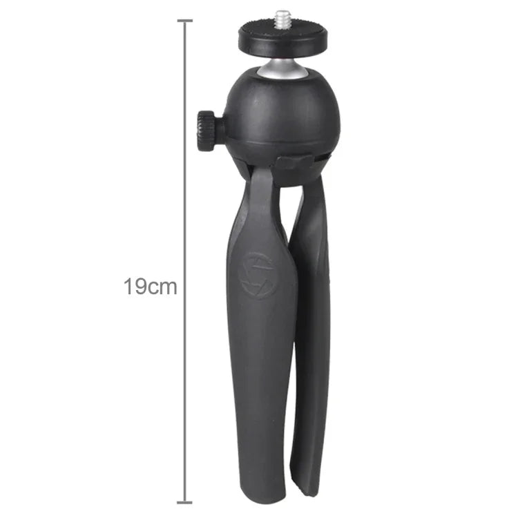 Alt immagine