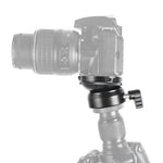 BEXIN DY-60N 3/8 inch Thread Dome Professional Tripod Leveling 360 Degree Panorama Head Base with Bubble Level & 3/8 inch Screw Adapter, DY-60N 3/8 inch