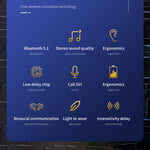 HXSJ Air-S4 Bluetooth 5.1 True Wireless HiFi Stereo Earphones with Charging Case