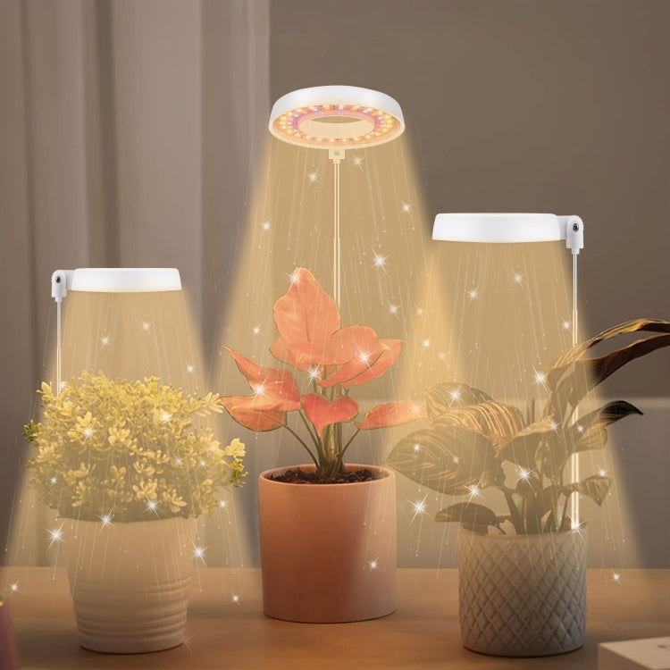 10W 48 LEDs Succulent Plant Grow Fill Light, Angel Ring, Bee, Round Tube