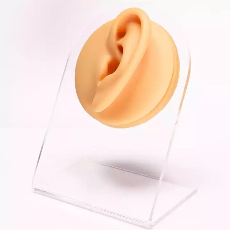 Simulation Facial Features Silicone Model, Belly Button, Nose, Eye, Private Parts, Mouth, Tongue, Nipple, Right Ear, Left Ear