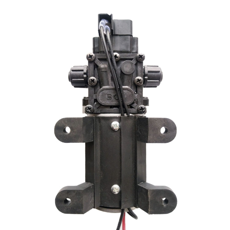 Alt immagine