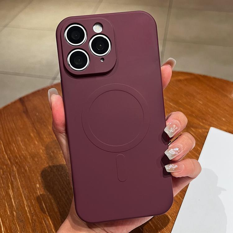 Solid Color Liquid Silicone MagSafe Magnetic Phone Case, For iPhone 11, For iPhone 11 Pro