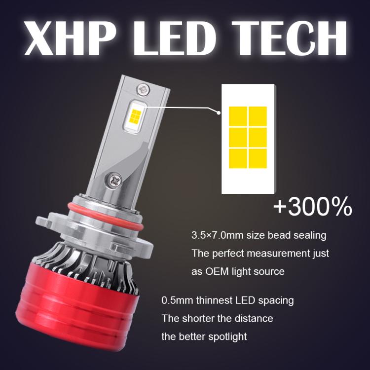 Alt immagine
