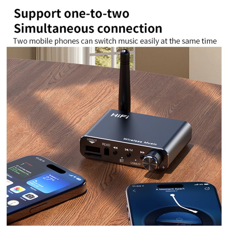 Portable Bluetooth Receiver Audio AUX Adapter Supports USB Disk, TF Card With Remote Control, D19