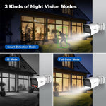 SriHome NVS005-POE065 3MP HD 4-CH POE Camera Network Video Recorder Kit, 3MP 4-CH