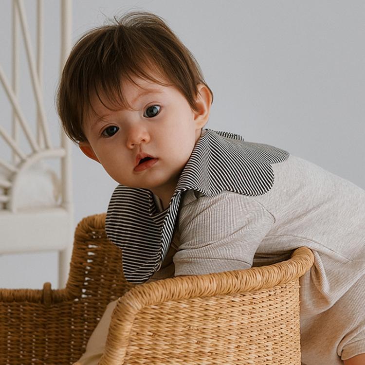 نص بديل للصورة