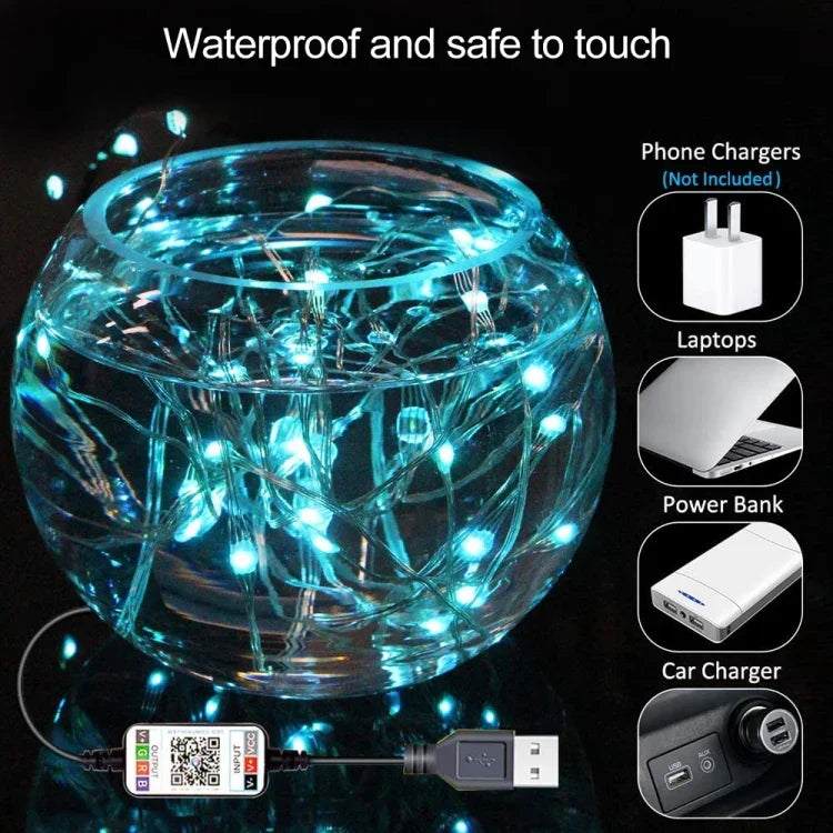 RGB USB  LED Copper Wire Light String Holiday Decoration Light String Bluetooth Mobile APP Control, 2m 20 LED, 5m 50 LED, 10m 100 LED, 12m 120 LED, 15m 150 LED, 20m 200 LED
