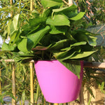 Self-Watering Planter Grow Plants Lazy Flower Pots Wall-hanging Round Resin Plastic Flower Pots, Size: 18x12.5x16cm, Size: 18x12.5x16cm