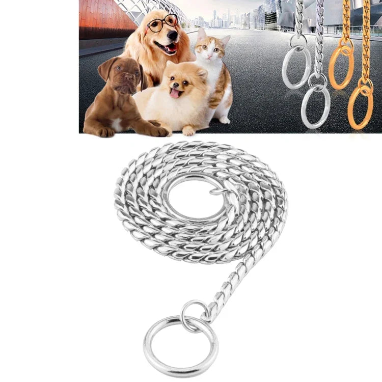 Metal dog collar chain displayed with dogs in background, showing shiny silver design and durable construction.