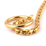 Close-up of a shiny gold metal dog collar with braided design and secure fastening ring, perfect for stylish pets.