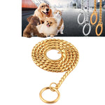 Metal dog collar chain displayed with pets, featuring a durable gold chain and smooth finish for a stylish look.