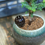 10PCS Bonsai Tools Gardening Products Gardening Tools Bonsai Fertilizer Boxes,Small Size:4*2.5*2.5cm(Coffee color), Size:S  4*2.5*2.5cm