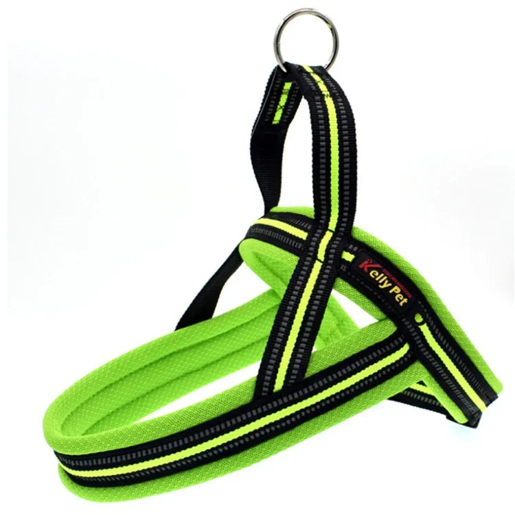 Alt immagine