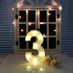 Dry Battery Powered Warm White Standing Hanging Holiday Light, LED6214A, LED6214B, LED6214C, LED6214D, LED6214E, LED6214F, LED6214G, LED6214H, LED6214J, LED6214K