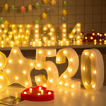Dry Battery Powered Warm White Standing Hanging Holiday Light, LED6214A, LED6214B, LED6214C, LED6214D, LED6214E, LED6214F, LED6214G, LED6214H, LED6214J, LED6214K