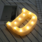 Dry Battery Powered Warm White Standing Hanging LED Holiday Light, N, A, O, B, C, P, D, Q, E, R, F, G, T, U, I, V, J, W, X, K, L, M, Z