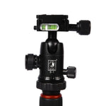 Triopo GT-2504X8.C Adjustable Portable Carbon Fiber Tripod with B-1 Aluminum Ball Head for Canon Nikon Sony DSLR Camera, GT-2504X8.C (Black), GT-2504X8.C (Gold)