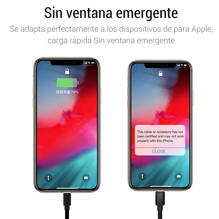 Alt immagine