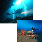 5000 LM UV Purple Light, Diving Depth: 150m (Black)