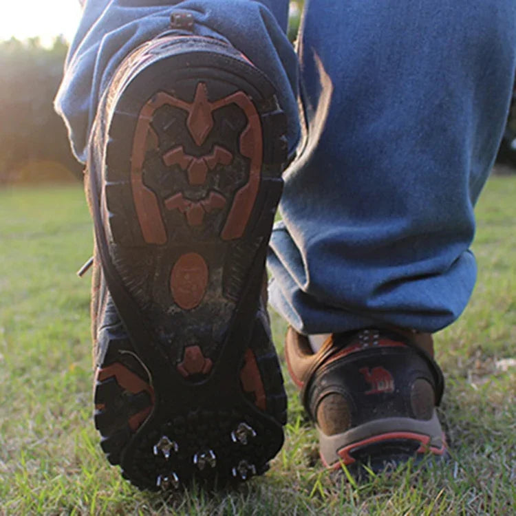 نص بديل للصورة