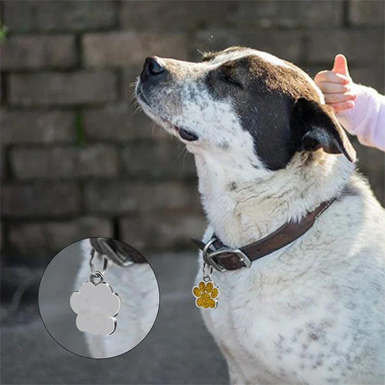 Enamel cat dog key chain charms showcasing a dog with a paw print pendant on its collar outdoors.