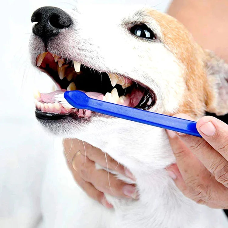 10pcs Dog Cat Effective Pets Oral Care Pet Toothbrush, Blue Handle + Medium Hair