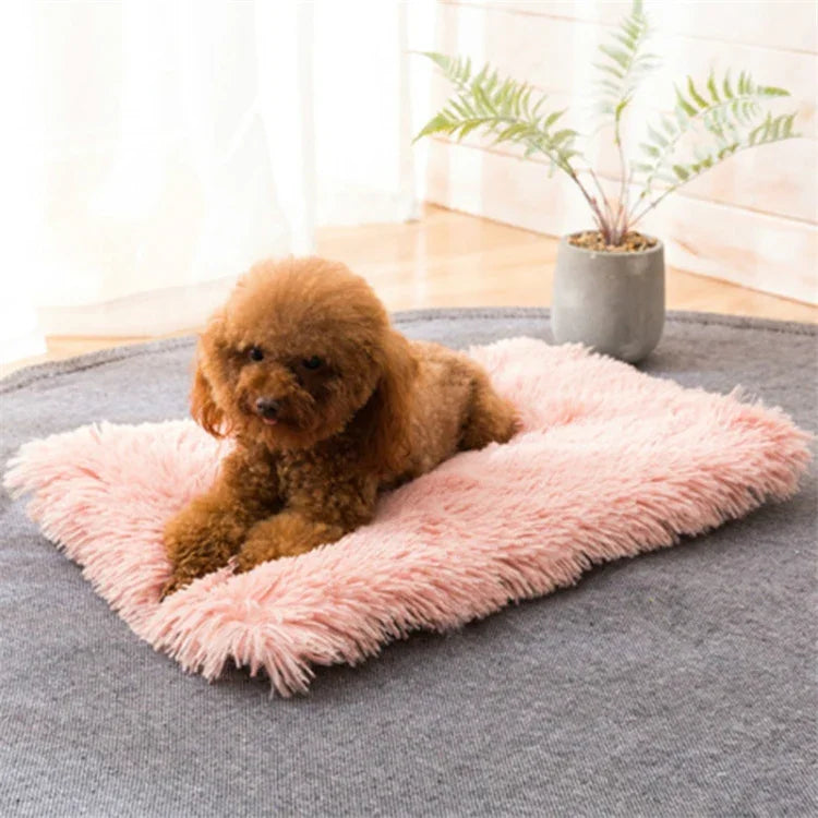 Autumn and Winter Warm Universal Square Pet Cat Dog Plush Pad, S, XL, L