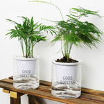 Automatic Water Absorption Hydroponic Pot Succulent Plant Flower Pot, Transparent With Words