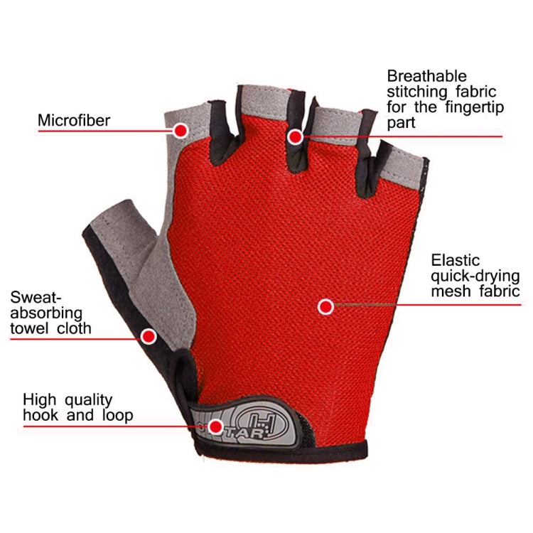 Alt immagine
