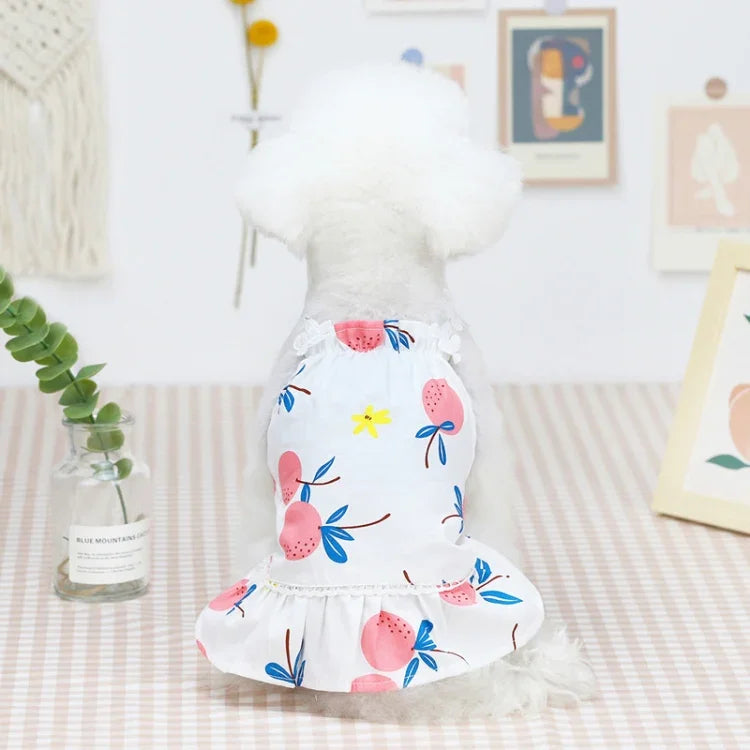 画像代替テキスト