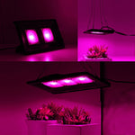Ultra-Thin LED Plant Light, Full Spectrum COB Growth Light, Vegetable, Fruit & Flower Greenhouse Fill Light With Plug, 50W UK Plug, 150W UK Plug, 50W US Plug, 150W US Plug, 50W EU Plug, 150W EU Plug, 50W AU Plug, 150W AU Plug