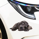 3D Simulation Dog Car Stickers Rain-Proof Sunscreen Car Sticker Scratch Shaving Decoration Stickers, Style 1 Small, Style 2 Small, Style 3 Small, Style 4 Small, Style 5 Small, Style 1 Large, Style 2 Large, Style 3 Large, Style 4 Large, Style 5 Large