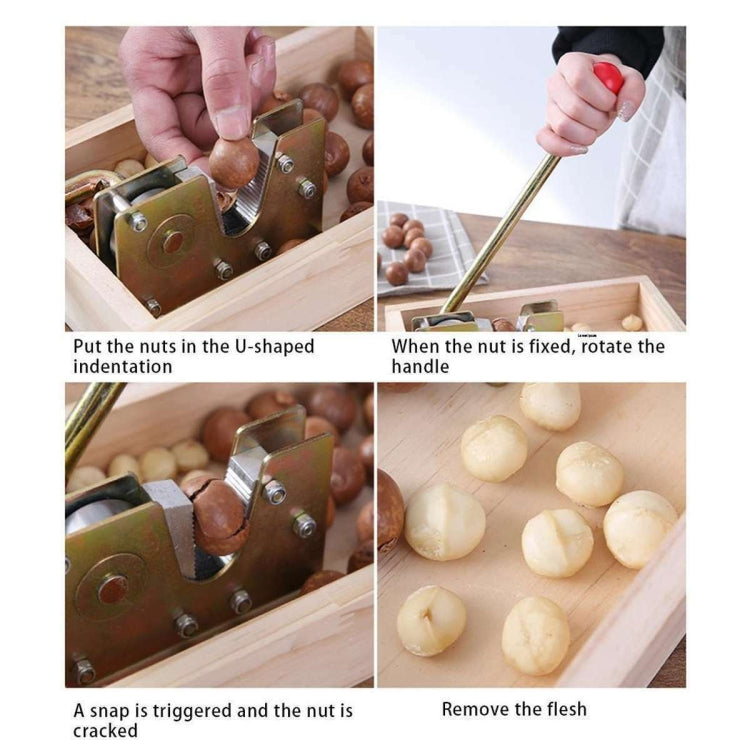 Alt immagine