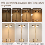 Rechargeable Desk Lamp Removable Desk Lamp Bar Atmosphere Night Light, Gold, Silver, Black