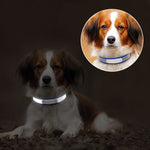 CL181K Pet Soft Reflecting Collar, XL No Iron Sheet Purple, XS No Iron Sheet Purple, XXL No Iron Sheet Red, S No Iron Sheet Red, XL No Iron Sheet Dark Brown, XS No Iron Sheet Dark Brown, L No Iron Sheet Light Green, XL No Iron Sheet Light Brown        ...