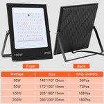Colorful RGB Changing LED Flood Light With Remote Control, 30W, 100W
