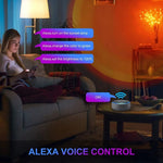 Sunset Background Remote Control RGB Floor Ambient Projection Light, Bluetooth APP
