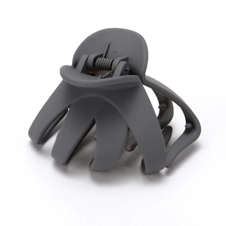 10 PCS Frosted Ladies Coiffure Hair Grab Hair Clip