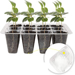 1pcs/set 12-hole Thickened Adjustable Breathable Cover Seedling Box, 1pcs/set 12-hole