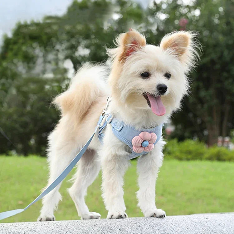 Pet Puppy Dog Leash Vest Teddy Chest Belt Chain Dog Walking Leash, S, M, L, XL