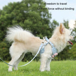 Pet Puppy Dog Leash Vest Teddy Chest Belt Chain Dog Walking Leash, S, M, L, XL