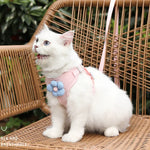 Pet Puppy Dog Leash Vest Teddy Chest Belt Chain Dog Walking Leash, S, M, L, XL