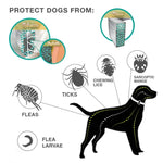 Flea and Tick Collar for Dogs Cats With Aluminum Case, 72cm Gray, 72cm Orange, 72cm Blue, 38cm Orange, 38cm Pink, 38cm Blue