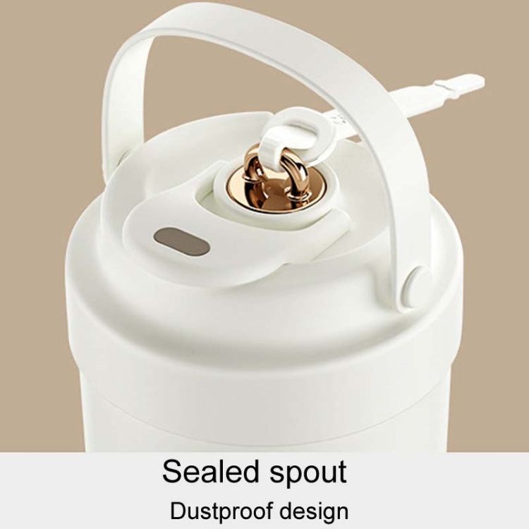 316 Stainless Steel Insulated Mug Portable Carry-On Dual Drink Coffee Cup With Straw, 500ml