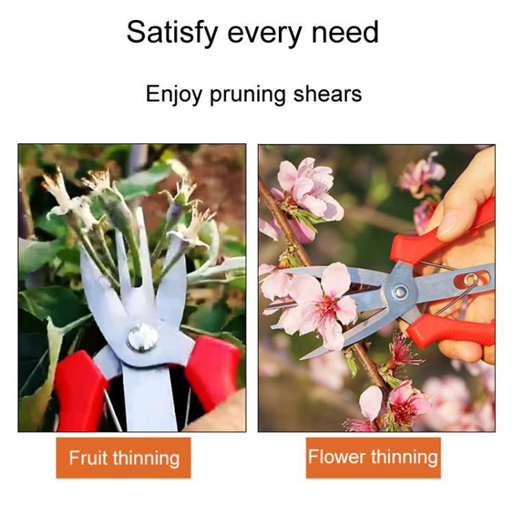 Agricultural Fruit And Flower Thinning Scissors Home Gardening Pruning Tools, 6608-1