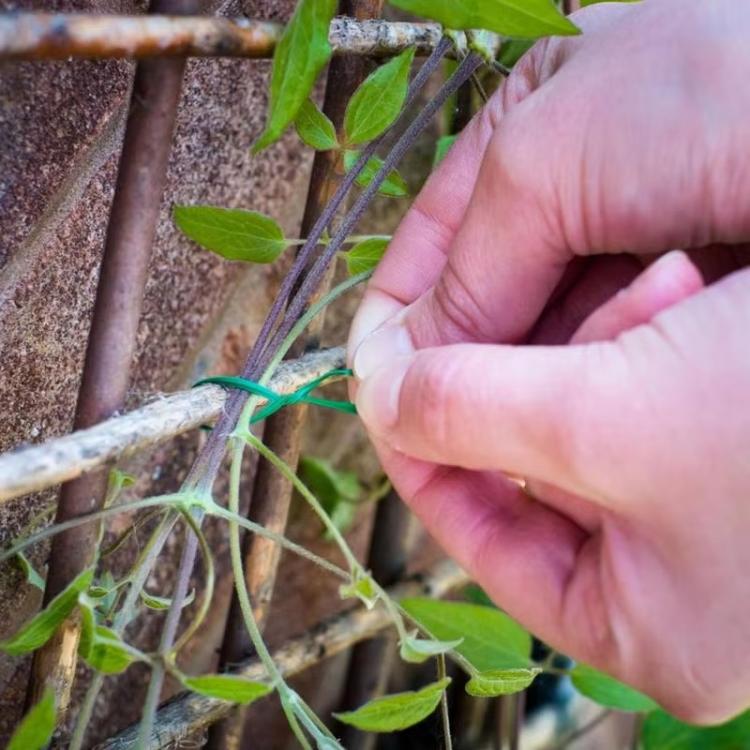 30m Garden Rope Fabric Cord Plant Support Ties