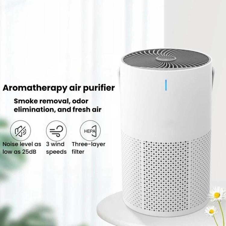 نص بديل للصورة