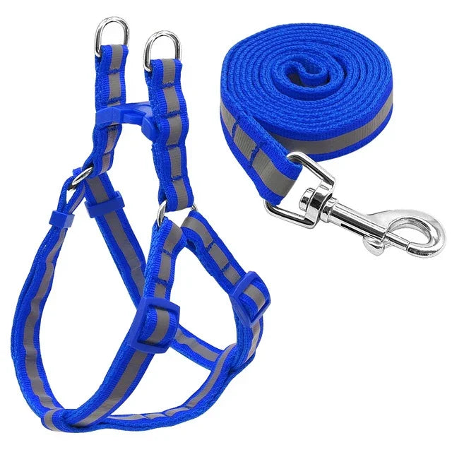 Small Medium Dogs Nylon Reflective Dog Leash Lead Set, S